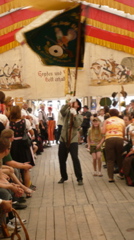 Fahnenparade - 2
