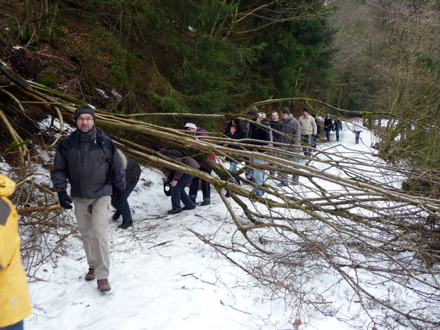 Winterwanderung - 1